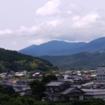 ipponmatsu